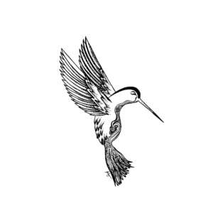 Art print for home decor of a black and white abstract line drawing of an image of a hummingbird in flight.